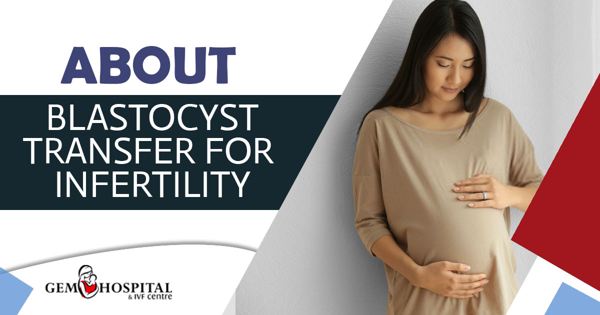 About Blastocyst Transfer For Infertility - Gem Hospital And Ivf Centre