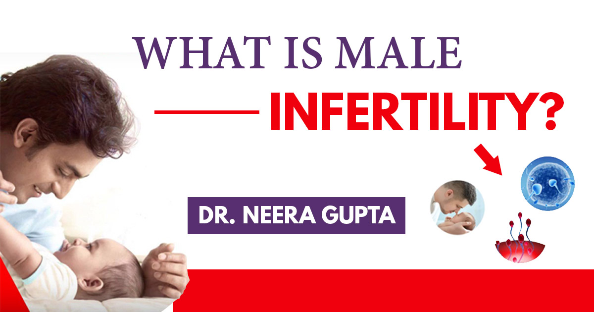 What is Male Infertility