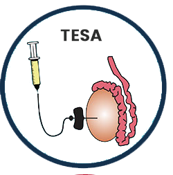 TESA Centre in Bathinda