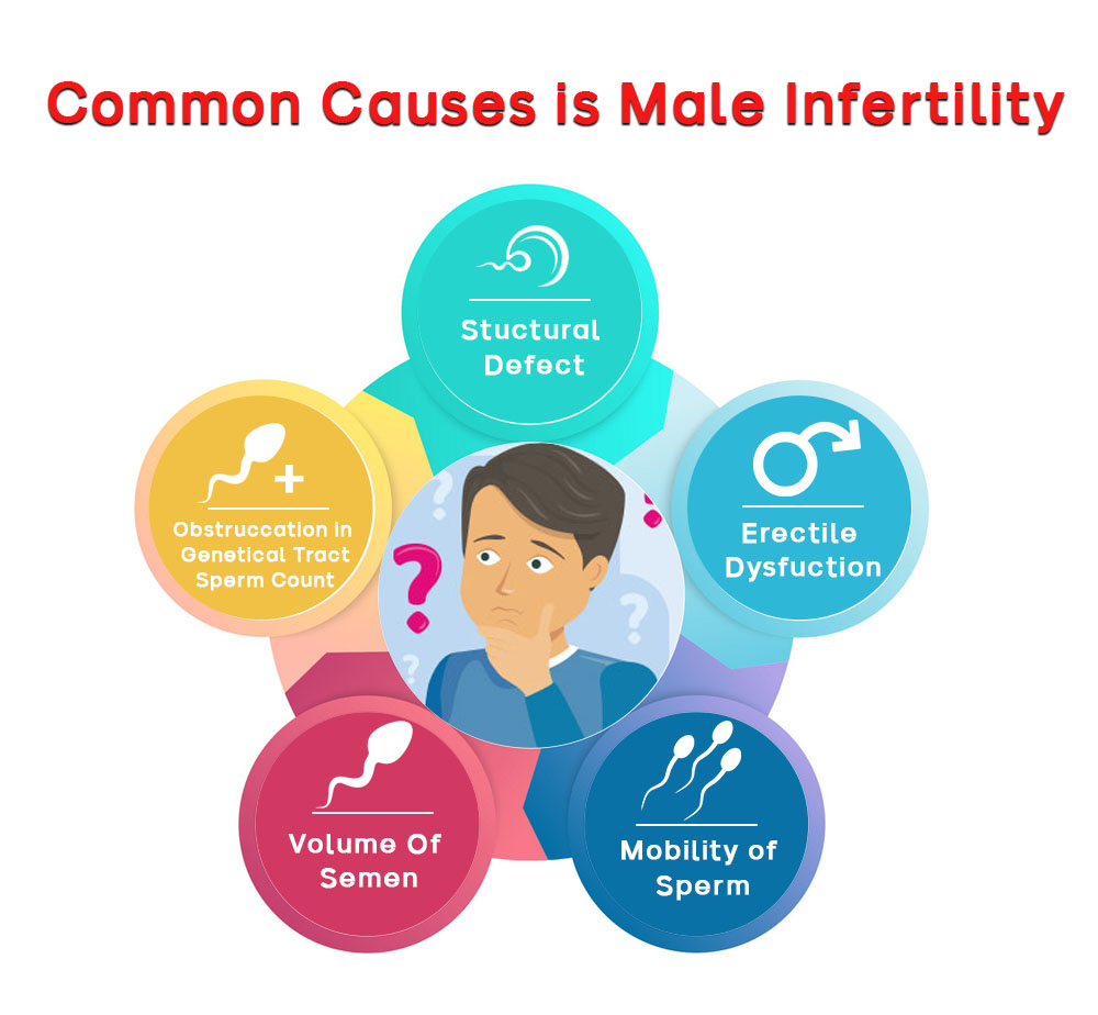what are causes for male infertility