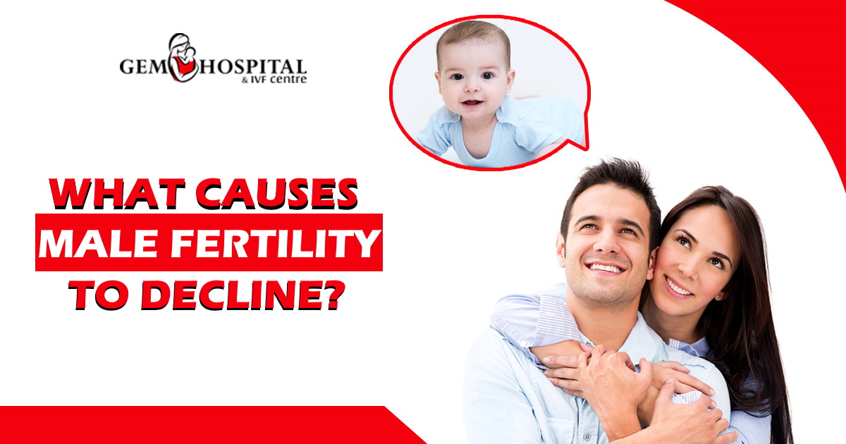 What causes male fertility to decline