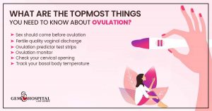 What are the topmost things you need to know about ovulation