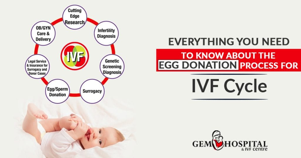 Guide About the egg donation process for IVF cycle