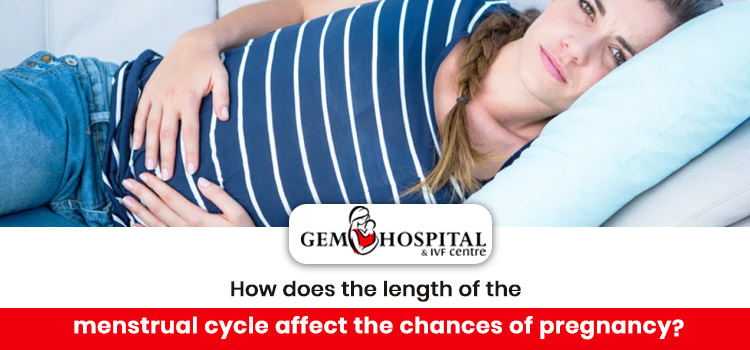 How does the length of the menstrual cycle affect the chances of pregnancy?