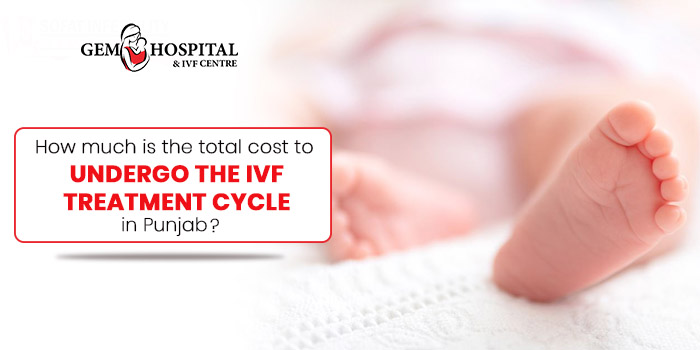 How much is the total cost to undergo the IVF treatment cycle in Punjab