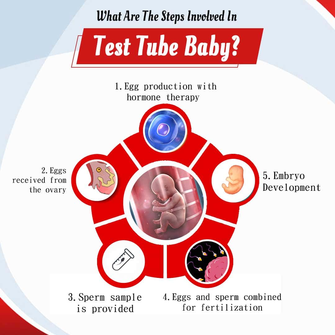 Test Tube Baby Centre In Punjab Test Tube Baby Cost Bathinda