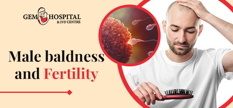 Male-baldness-and-Fertility-Gem-hospital