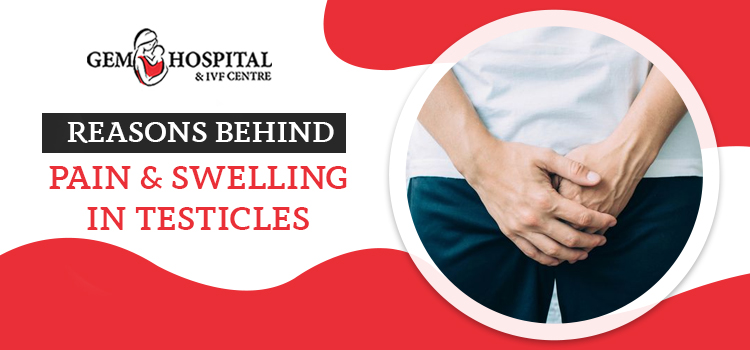 Reasons Behind Pain & Swelling In Testicles