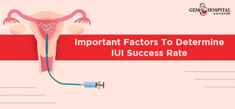 Important Factors To Determine IUI Success Rate