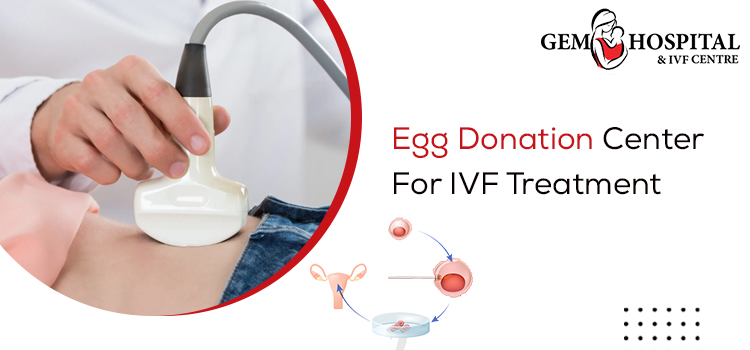 Egg Donation Center For IVF Treatment