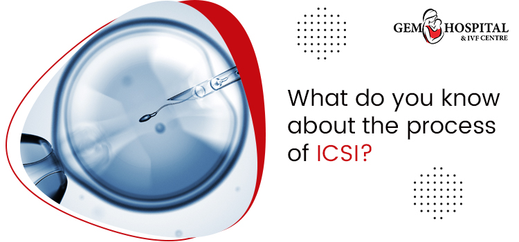 What do you know about the process of ICSI