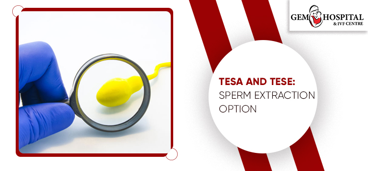TESA And TESE Sperm Extraction Option