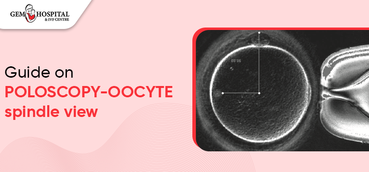 Guide on POLOSCOPY-OOCYTE spindle view