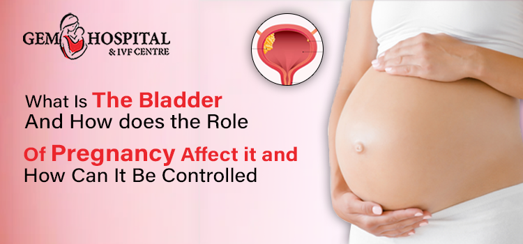 What Is The Bladder And How Does The Role Of Pregnancy Affect It, And How Can It Be Controlled?