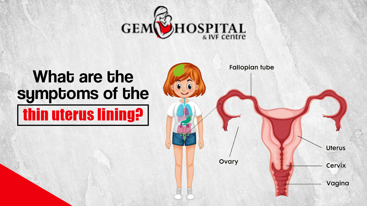 What are the symptoms of the thin uterus lining?