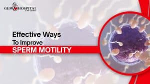 Effective Ways To Improve Sperm Motility